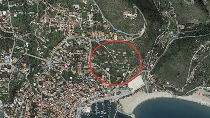 camerota