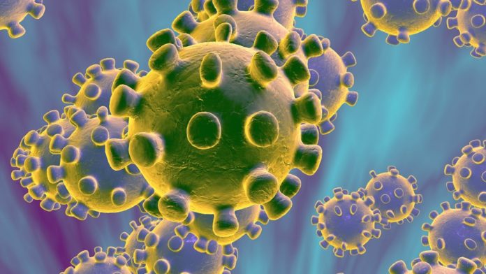 coronavirus-3